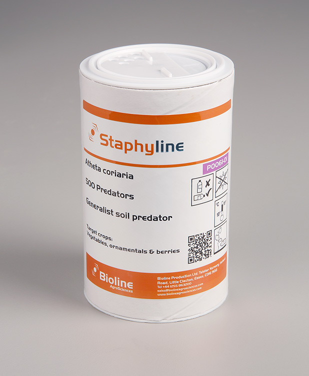 Staphyline 500/ tube - Biological Control